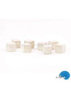 GlasGarten - Mineral Artemia Cubes 2