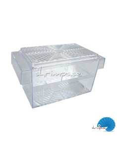 Floating Guppy Breeder