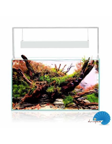 Aquael - UltraScape 60 Snow - Optiwhite