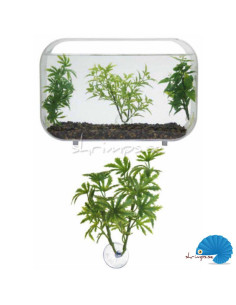 Zoo Med - Betta Plant Papaya 2