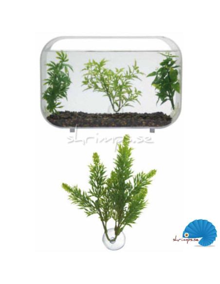 Zoo Med - Betta Plant Salvia