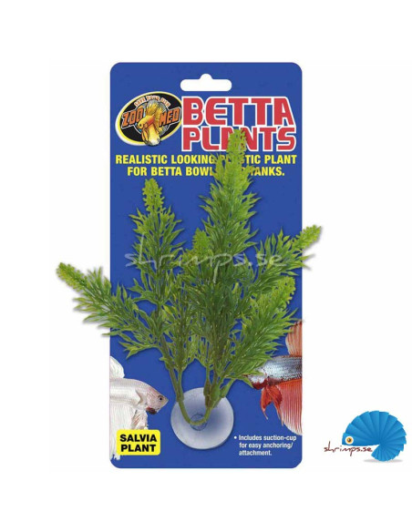 Zoo Med - Betta Plant Salvia