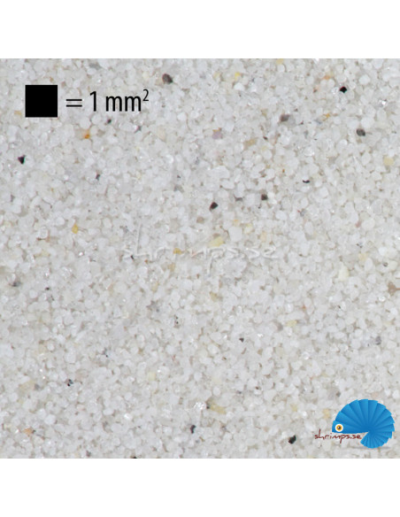 JBL - Sansibar White - 5kg