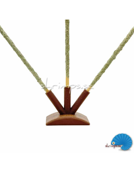 Shrimp Lolly Stand 3 lollies