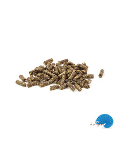 GlasGarten - Humin Sticks - Care Food - 30g 2