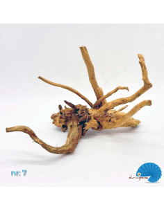 Red moor driftwood for aquarium and aquascaping