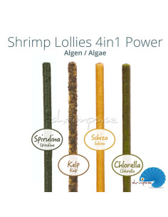 GlasGarten - Shrimp Lollies - 4in1 Power - Algae 2