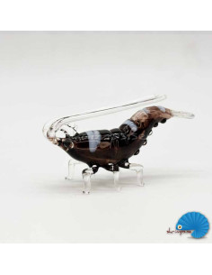 Shrimp Glass Ornament - Black