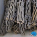 Cholla Wood mini - Kaktusträ