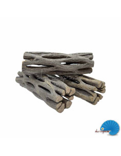 Cholla Wood nano - Kaktusträ