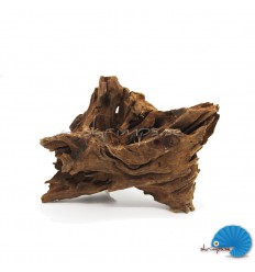 Mangrove Driftwood 2