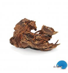Mangrove Driftwood
