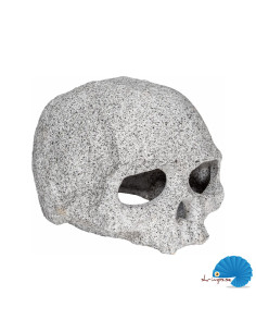 Kranium 12x10x8cm