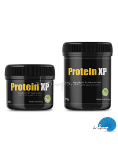 GlasGarten - Protein XP