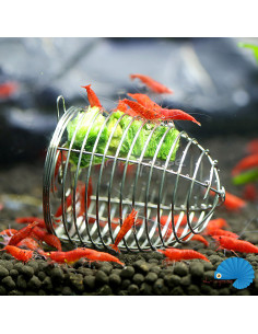 Feeding Cage 2