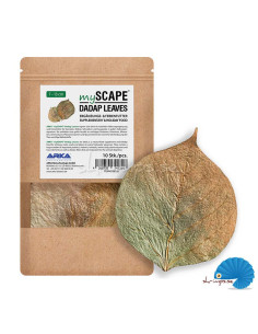 ARKA - myScape - Dadap Leaves 10pcs 2