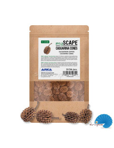 ARKA - myScape - Casuarina cones 50pcs 2