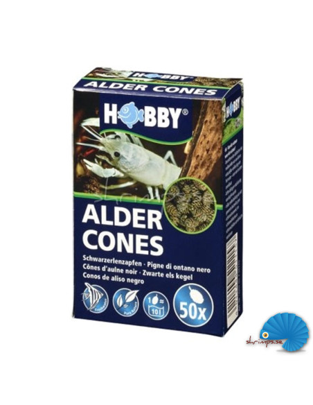 Hobby - Alder cones 50pcs