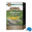 Shrimp King BeeSalt GH+