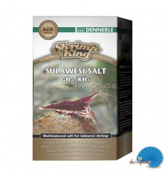 Shrimp King BeeSalt GH+