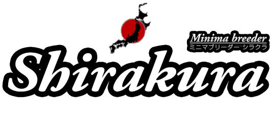 Shirakura