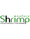 Shrimp Nature