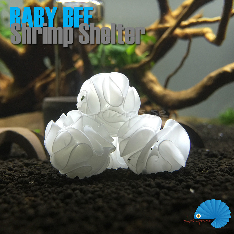 https://www.shrimps.se/modules/iqithtmlandbanners/uploads/images/5ff787a189a62.jpg