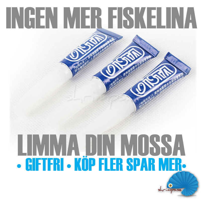 https://www.shrimps.se/modules/iqithtmlandbanners/uploads/images/5ff787fb25690.jpg